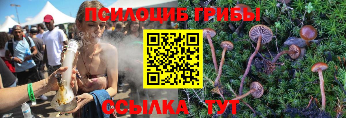Псилоцибиновые грибы мицелий Бугуруслан
